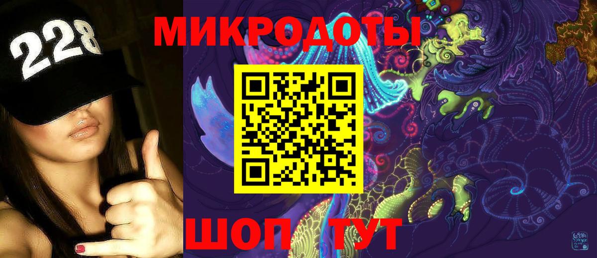 Псилоцибиновые грибы Psilocybe Каменск-Шахтинский